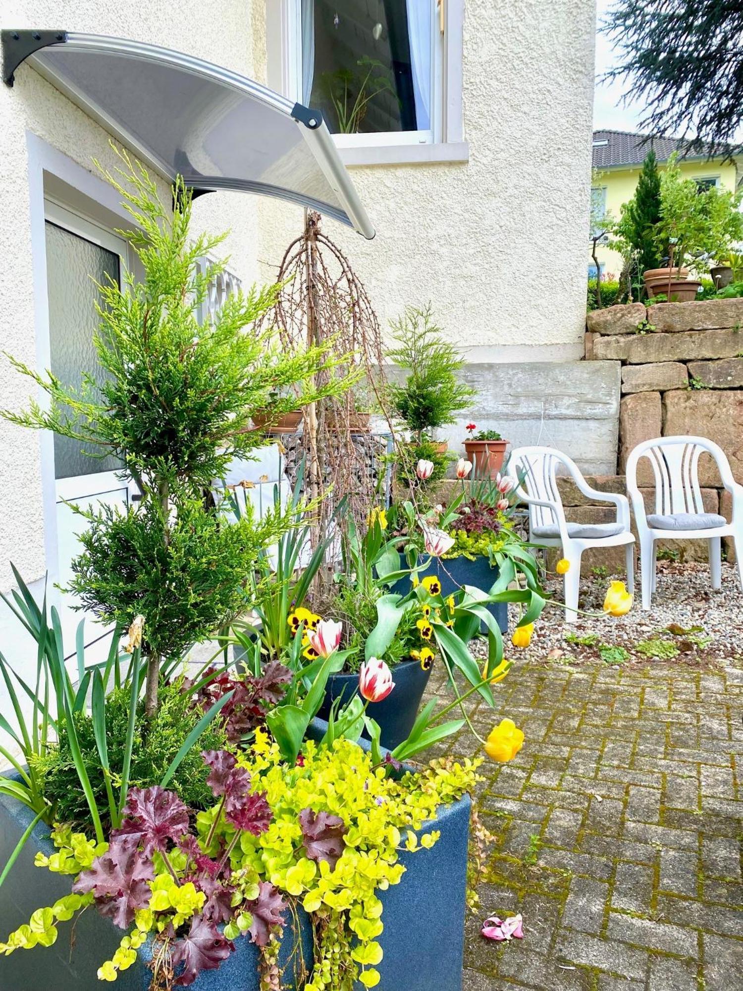Haus Marija M Hotel Badenweiler Værelse billede